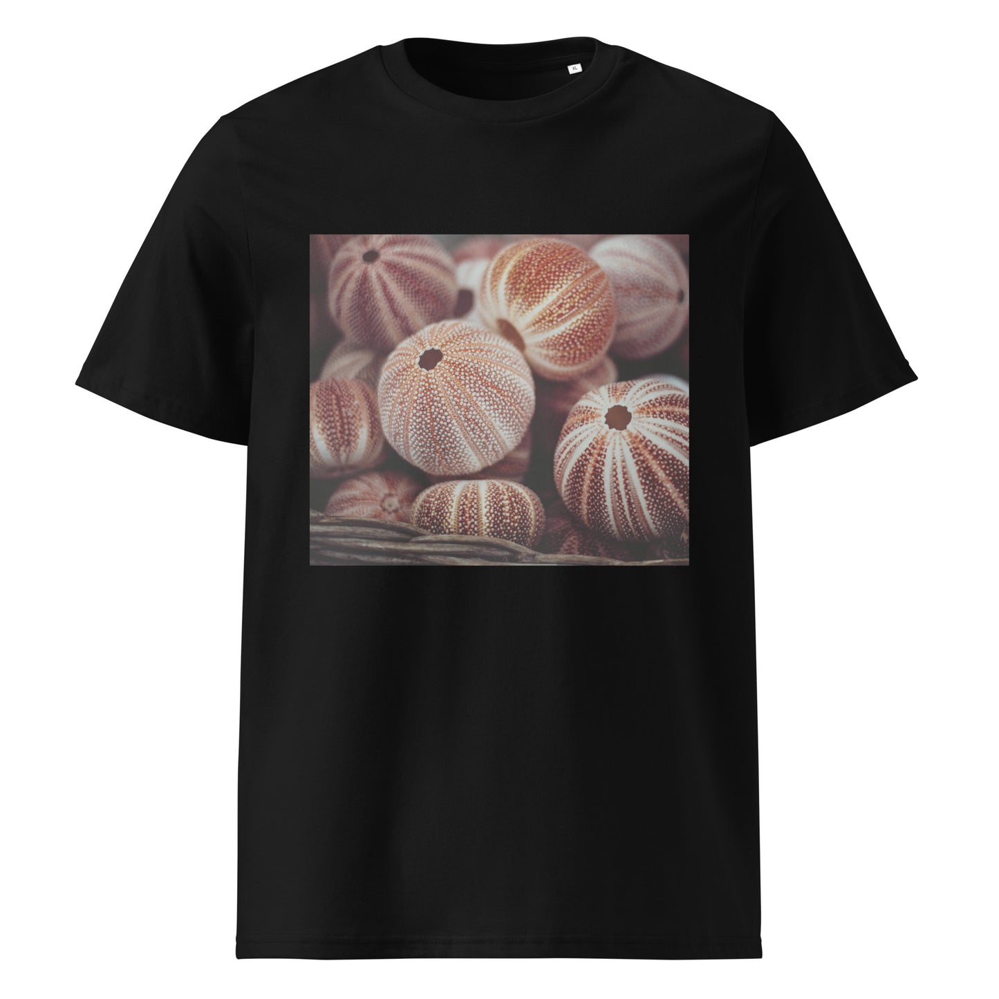 Sea nutshells Organic cotton T-shirt