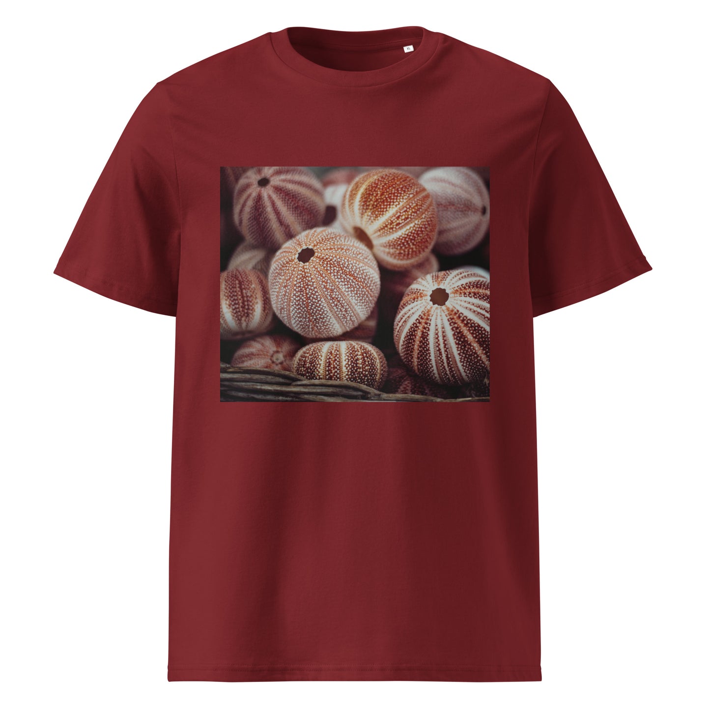 Sea nutshells Organic cotton T-shirt