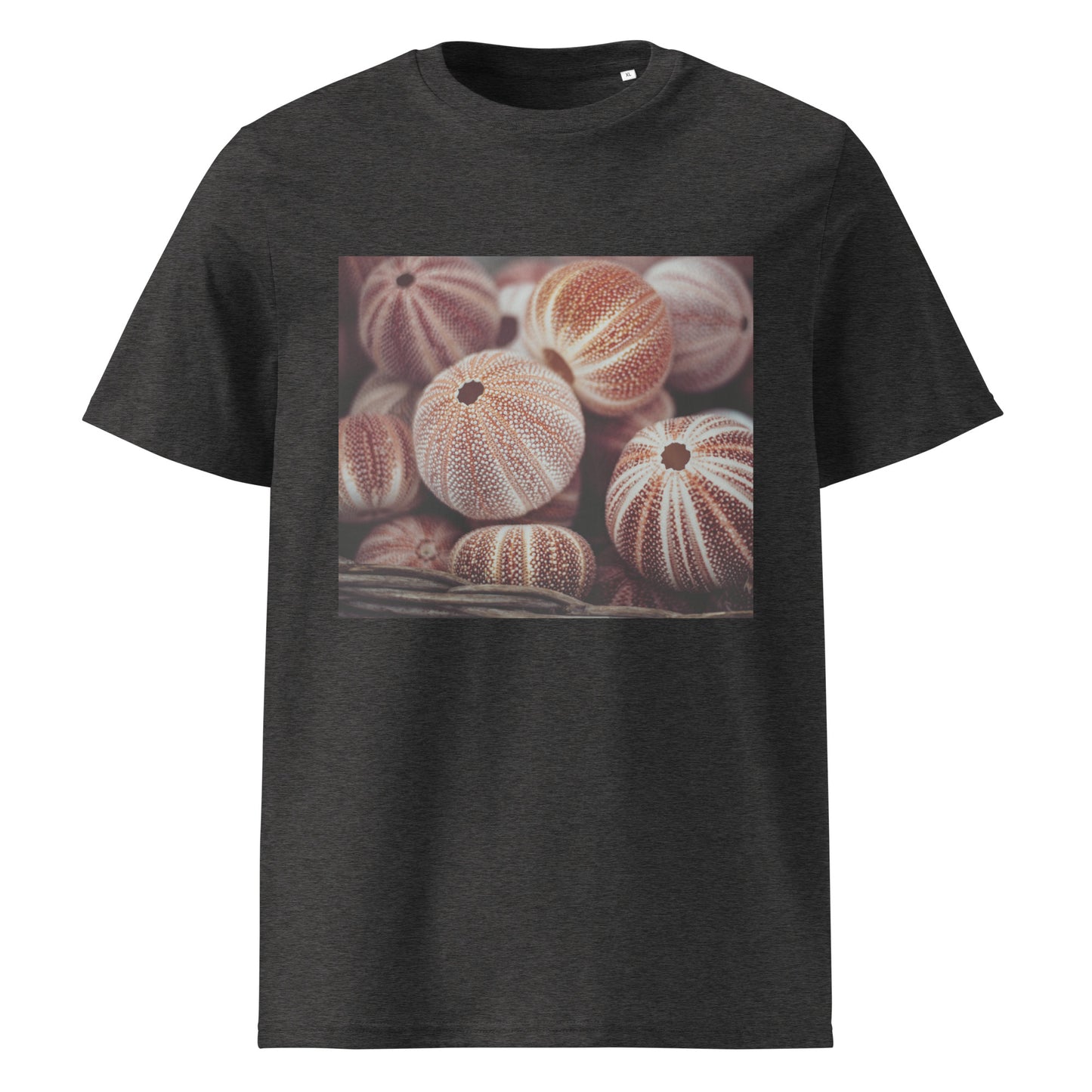 Sea nutshells Organic cotton T-shirt