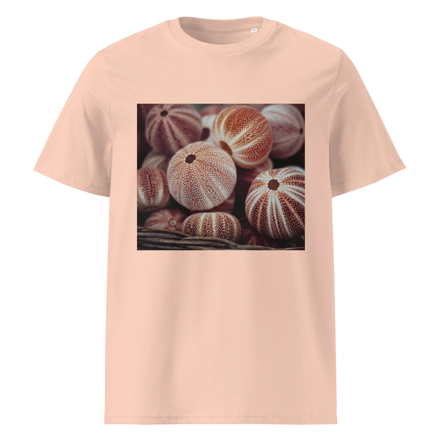 Sea nutshells Organic cotton T-shirt