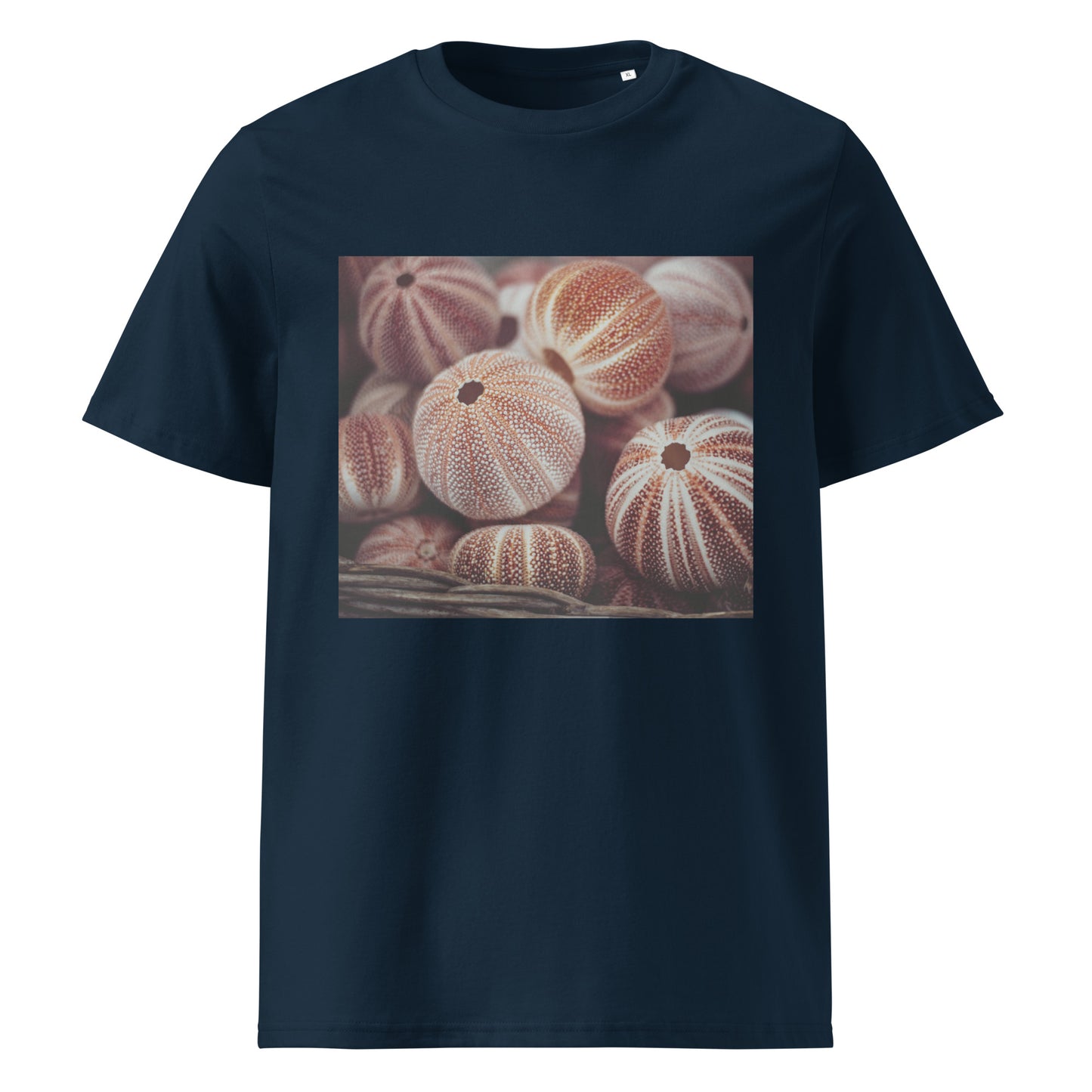 Sea nutshells Organic cotton T-shirt