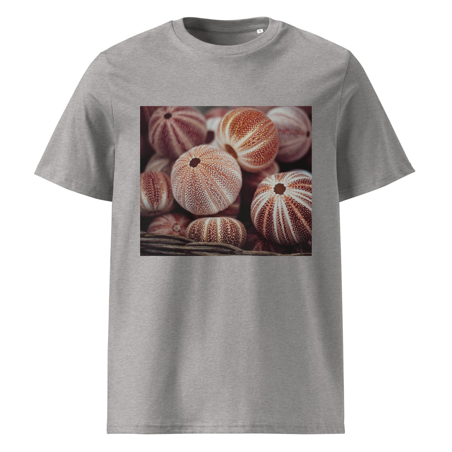 Sea nutshells Organic cotton T-shirt