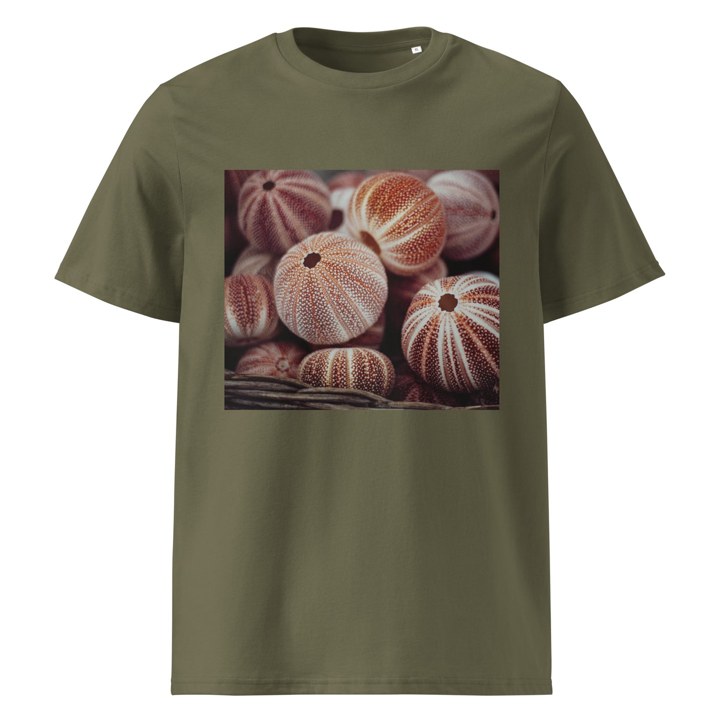 Sea nutshells Organic cotton T-shirt