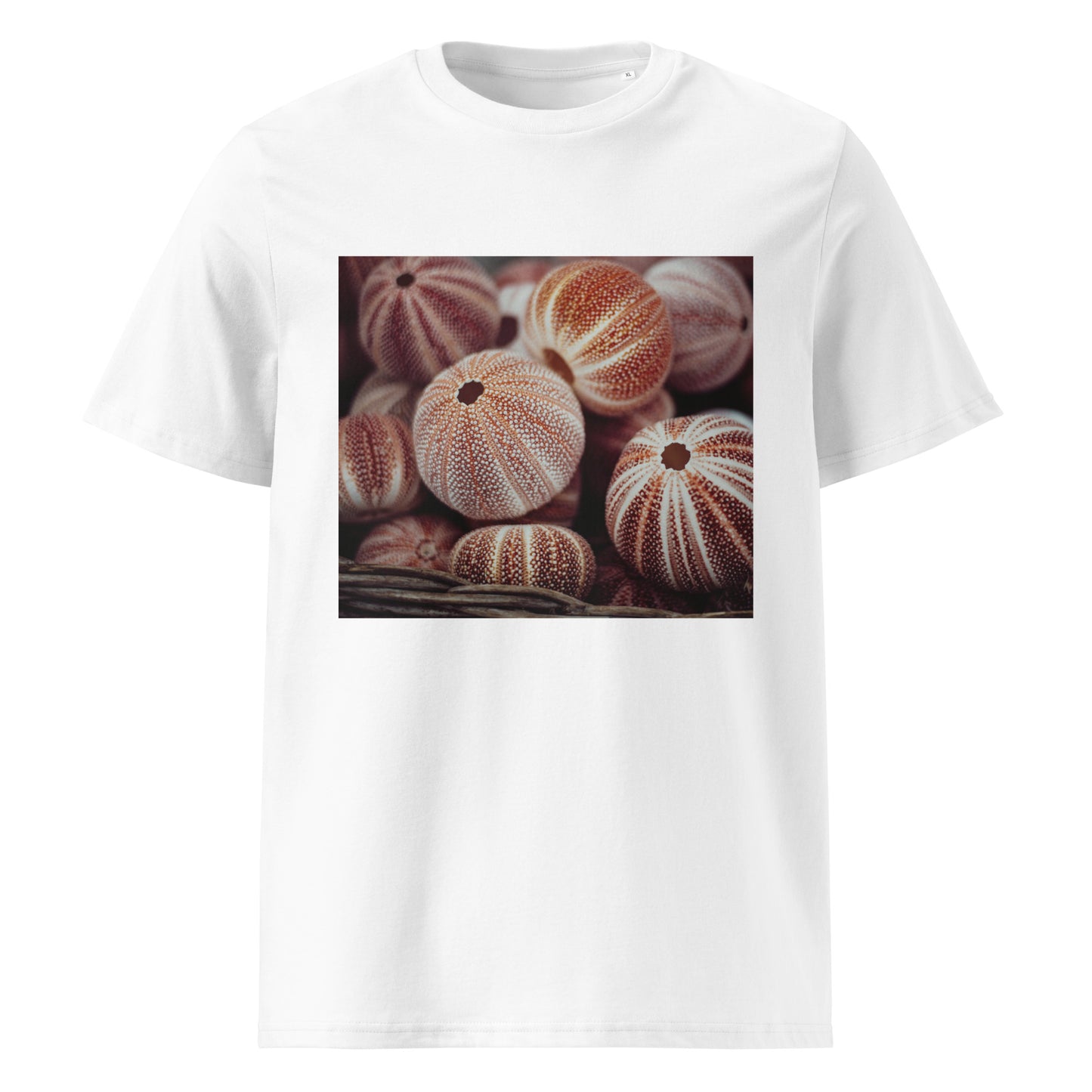 Sea nutshells Organic cotton T-shirt